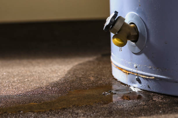 Best Basement water damage restoration  in Danville, CA