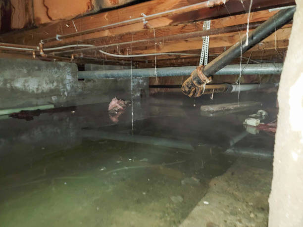 Best Flooded house restoration  in Danville, CA