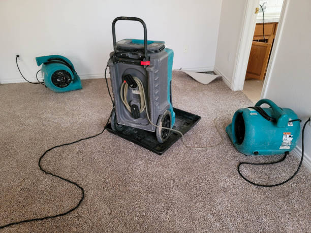 Best Water damage restoration services  in Danville, CA
