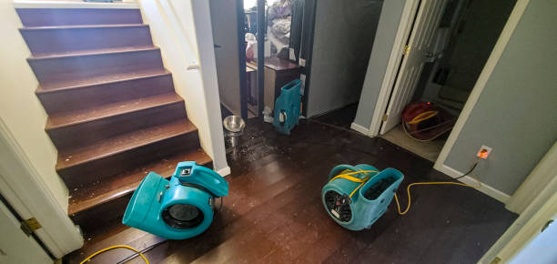 Best Basement water damage restoration  in Danville, CA
