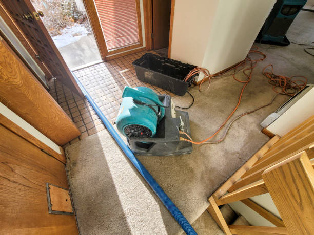Best Professional water damage repair  in Danville, CA