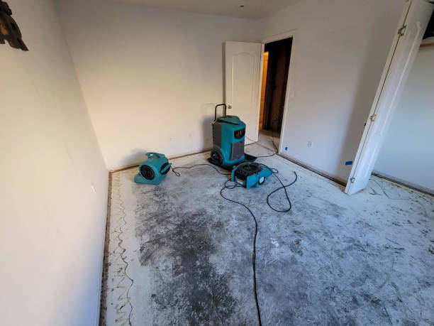 Best Water damage restoration near me  in Danville, CA