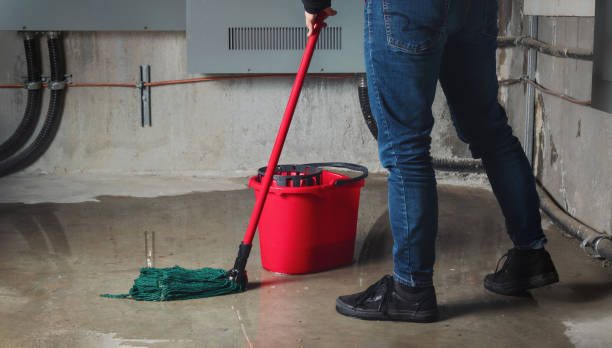 Best Fire Damage Restoration  in Danville, CA