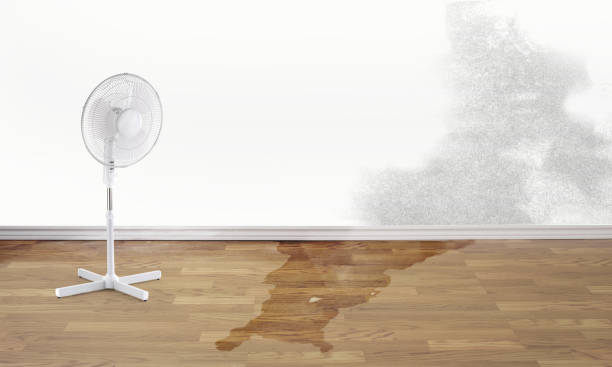 Best Flood damage cleanup  in Danville, CA