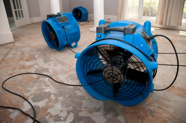 Best Water damage cleanup near me  in Danville, CA