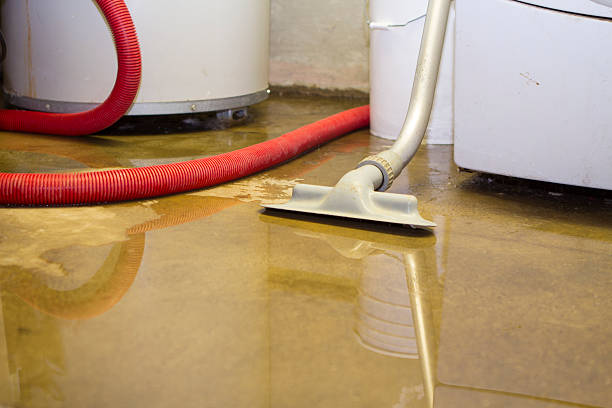 Best Local water damage restoration  in Danville, CA