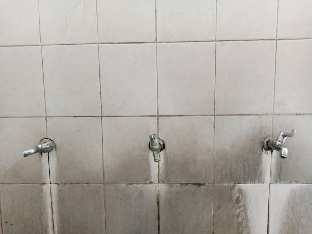 Best Sewage cleanup and water damage restoration  in Danville, CA