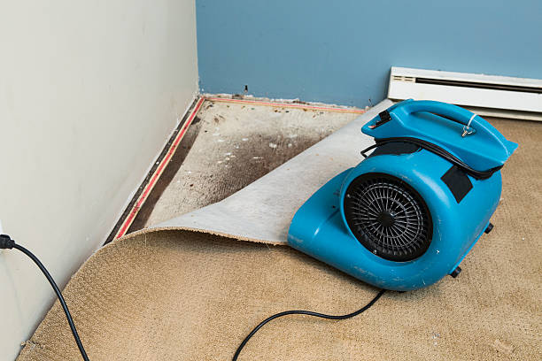 Trusted Danville, CA Water damage restoration Experts